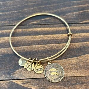 Alex and Ani Gold Pisces Charm Bracelet